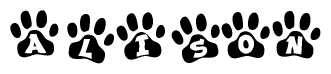 The image shows a series of animal paw prints arranged in a horizontal line. Each paw print contains a letter, and together they spell out the word Alison.