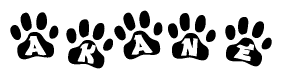 The image shows a series of animal paw prints arranged in a horizontal line. Each paw print contains a letter, and together they spell out the word Akane.