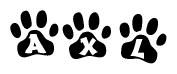 The image shows a series of animal paw prints arranged horizontally. Within each paw print, there's a letter; together they spell Axl