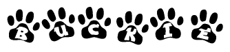 The image shows a series of animal paw prints arranged horizontally. Within each paw print, there's a letter; together they spell Buckie