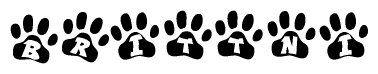 The image shows a series of animal paw prints arranged horizontally. Within each paw print, there's a letter; together they spell Brittni