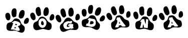 The image shows a series of animal paw prints arranged in a horizontal line. Each paw print contains a letter, and together they spell out the word Bogdana.