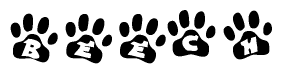 The image shows a series of animal paw prints arranged in a horizontal line. Each paw print contains a letter, and together they spell out the word Beech.