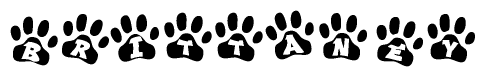 The image shows a series of animal paw prints arranged in a horizontal line. Each paw print contains a letter, and together they spell out the word Brittaney.