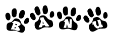 The image shows a row of animal paw prints, each containing a letter. The letters spell out the word Banu within the paw prints.