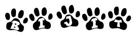 The image shows a series of animal paw prints arranged horizontally. Within each paw print, there's a letter; together they spell Bijit