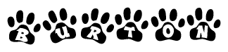 The image shows a row of animal paw prints, each containing a letter. The letters spell out the word Burton within the paw prints.