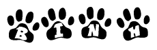 The image shows a series of animal paw prints arranged in a horizontal line. Each paw print contains a letter, and together they spell out the word Binh.