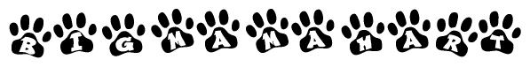 The image shows a series of animal paw prints arranged in a horizontal line. Each paw print contains a letter, and together they spell out the word Bigmamahart.