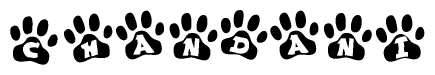 The image shows a series of animal paw prints arranged in a horizontal line. Each paw print contains a letter, and together they spell out the word Chandani.
