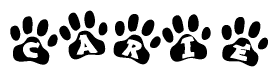 The image shows a series of animal paw prints arranged in a horizontal line. Each paw print contains a letter, and together they spell out the word Carie.