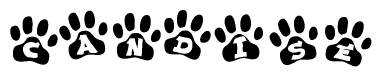 The image shows a series of animal paw prints arranged in a horizontal line. Each paw print contains a letter, and together they spell out the word Candise.