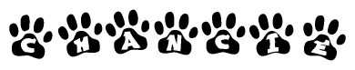The image shows a series of animal paw prints arranged in a horizontal line. Each paw print contains a letter, and together they spell out the word Chancie.