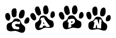 The image shows a series of animal paw prints arranged horizontally. Within each paw print, there's a letter; together they spell Capn