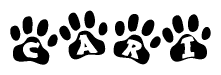 The image shows a series of animal paw prints arranged in a horizontal line. Each paw print contains a letter, and together they spell out the word Cari.