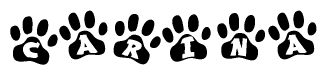 The image shows a series of animal paw prints arranged horizontally. Within each paw print, there's a letter; together they spell Carina