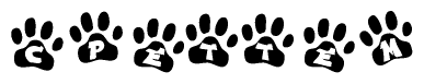 The image shows a row of animal paw prints, each containing a letter. The letters spell out the word Cpettem within the paw prints.