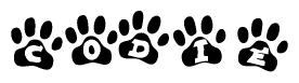 The image shows a series of animal paw prints arranged in a horizontal line. Each paw print contains a letter, and together they spell out the word Codie.