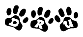 The image shows a row of animal paw prints, each containing a letter. The letters spell out the word Dru within the paw prints.