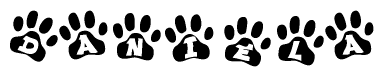 The image shows a series of animal paw prints arranged horizontally. Within each paw print, there's a letter; together they spell Daniela
