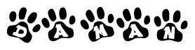 The image shows a series of animal paw prints arranged horizontally. Within each paw print, there's a letter; together they spell Daman