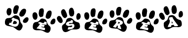 The image shows a row of animal paw prints, each containing a letter. The letters spell out the word Deserea within the paw prints.