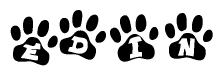 The image shows a row of animal paw prints, each containing a letter. The letters spell out the word Edin within the paw prints.
