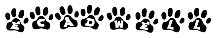 The image shows a row of animal paw prints, each containing a letter. The letters spell out the word Ecadwell within the paw prints.