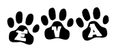 The image shows a series of animal paw prints arranged horizontally. Within each paw print, there's a letter; together they spell Eva