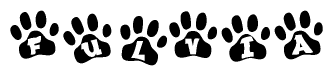 The image shows a row of animal paw prints, each containing a letter. The letters spell out the word Fulvia within the paw prints.