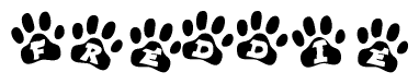 The image shows a series of animal paw prints arranged in a horizontal line. Each paw print contains a letter, and together they spell out the word Freddie.