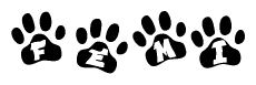 The image shows a series of animal paw prints arranged in a horizontal line. Each paw print contains a letter, and together they spell out the word Femi.