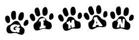The image shows a series of animal paw prints arranged in a horizontal line. Each paw print contains a letter, and together they spell out the word Gihan.