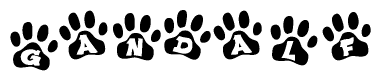 The image shows a row of animal paw prints, each containing a letter. The letters spell out the word Gandalf within the paw prints.