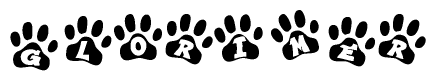 The image shows a row of animal paw prints, each containing a letter. The letters spell out the word Glorimer within the paw prints.
