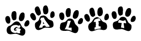 The image shows a series of animal paw prints arranged in a horizontal line. Each paw print contains a letter, and together they spell out the word Galit.