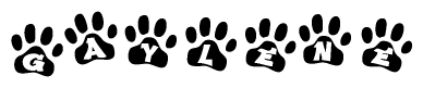 The image shows a row of animal paw prints, each containing a letter. The letters spell out the word Gaylene within the paw prints.