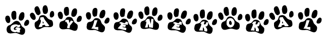 The image shows a series of animal paw prints arranged horizontally. Within each paw print, there's a letter; together they spell Gaylenekokal