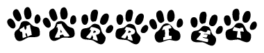 The image shows a series of animal paw prints arranged horizontally. Within each paw print, there's a letter; together they spell Harriet