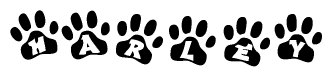 The image shows a series of animal paw prints arranged in a horizontal line. Each paw print contains a letter, and together they spell out the word Harley.