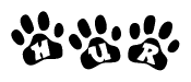 The image shows a series of animal paw prints arranged in a horizontal line. Each paw print contains a letter, and together they spell out the word Hur.