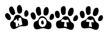 The image shows a series of animal paw prints arranged horizontally. Within each paw print, there's a letter; together they spell Hott