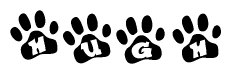 The image shows a series of animal paw prints arranged horizontally. Within each paw print, there's a letter; together they spell Hugh