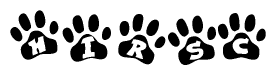 The image shows a series of animal paw prints arranged in a horizontal line. Each paw print contains a letter, and together they spell out the word Hirsc.