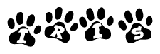 The image shows a series of animal paw prints arranged in a horizontal line. Each paw print contains a letter, and together they spell out the word Iris.