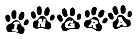 The image shows a series of animal paw prints arranged in a horizontal line. Each paw print contains a letter, and together they spell out the word Ingra.