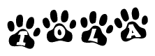The image shows a series of animal paw prints arranged in a horizontal line. Each paw print contains a letter, and together they spell out the word Iola.