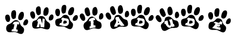 The image shows a row of animal paw prints, each containing a letter. The letters spell out the word Indiadude within the paw prints.