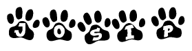 The image shows a series of animal paw prints arranged in a horizontal line. Each paw print contains a letter, and together they spell out the word Josip.