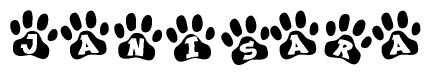 The image shows a series of animal paw prints arranged in a horizontal line. Each paw print contains a letter, and together they spell out the word Janisara.